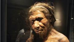 Neanderthal man at the human evolution exhibit at the Natural History Museum in London, England, United Kingdom