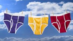 underpants on the washing line