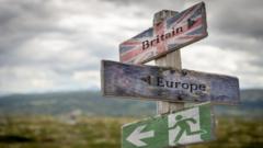 Britain, Europe and exit text with flag on wooden signpost outdoors in nature, emergency sign to symbolise Brexit