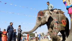 सुन्दरी हात्तीको ताज १७ वर्षे सेल्फीकलीलाई