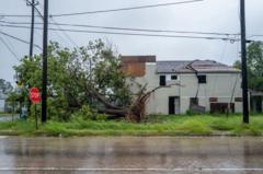 Storm Beryl kills seven and cuts power for millions