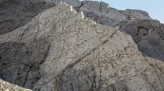 Elio Della Ferrera, Arch. PaleoStelvio A mountain wall full of dinosaur footprints