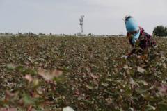 Площадь обрабатываемых земель в россии. Обеспеченность земельными ресурсами на душу населения. Пахотные земли страны. Пахотные земли страны. Пахотные земли страны.