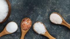 Sel rose de l'Himalaya, léger, raffiné : quel est le meilleur type de sel pour votre santé ?