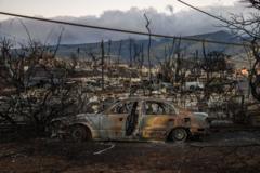 Hawaii orman yangını