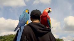 Meet the parrots flying around Primrose Hill