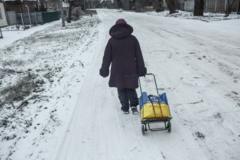 Ukraynalı bir kadın alışveriş sepetini karlar arasında çekiyor