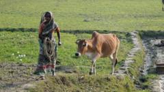 নারী