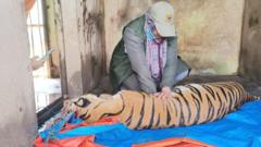 Tiga harimau mati di Medan Zoo, empat lainnya sakit parah - Tinggal menantikan 'kabar-kabar kematian'