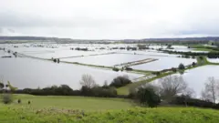 The flooded Somerset landscape. Many fields are underwater. Patches of green can be seen in places were the water has not reached. Trees and hedges can been seen poking above the water.