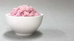 Ilmuwan Korsel kembangkan beras 'berdaging' yang bisa menjadi sumber protein