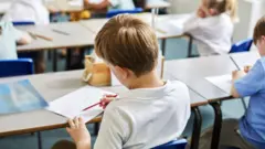 Special needs support in England faces ‘total collapse’, councils warn – BBC