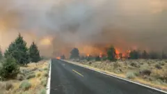 Wildfires burn trees on the sides of a road.