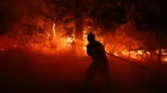 Firefighter putting out a fire in a forest in France.