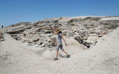 Kral Midas’ın altın dokunuşunun sırrı bulundu mu?