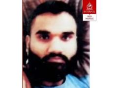 ریڈ کارنر نوٹس