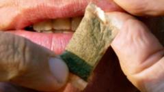 Half of players using snus would like to stop - study