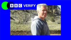 An image of Jeffrey Epstein staring at the camera wearing a grey hoodie. He is pictured in front of a hillside and the image is imposed over the BBC Verify colours and branding. 