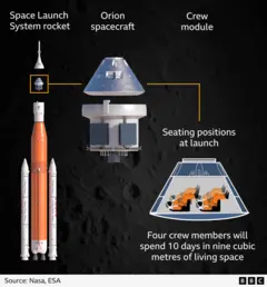 An illustration showing how Artemis II astronauts will be arranged in the Orion crew module at launch. Four astronauts are sitting in two rows of two, with their backs towards the ground. During the mission the four crew members will spend 10 days in approximately nine cubic meters of living space. The image shows that the crew module makes up about half of the Orion spacecraft – the service module is around the same size – and on the launchpad, Orion is only a small section of the 98-meter (320 ft) Space Launch System rocket.