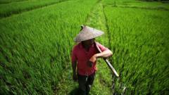 Laos profile - in pictures - BBC News