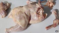 Poultry Industry 'must Act' Over Food Poisoning Bug - Bbc News