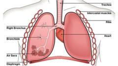 Probe which aims to detect lung disease is developed in Edinburgh - BBC ...
