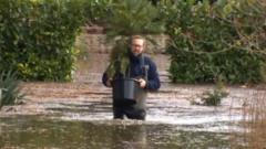 coped flooding