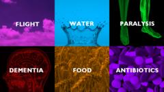 A montage of images representing flight, water, paralysis, dementia, food and antibiotics