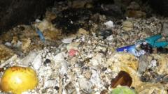 A mountain of congealed fat, wet wipes, food and rubbish blocking a Thames Water pipe in West London