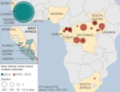Why Ebola is so dangerous - BBC News