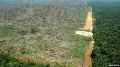 Brazil refuses to join pledge to end deforestation - BBC News