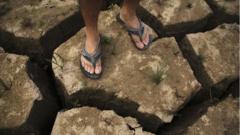 2014 Warmest Year On Record, Say US Researchers - BBC News