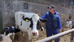 Farming in harmony: Northern Ireland farmers protecting wildlife on ...