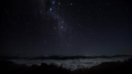 Céu estrelado em meio à selva