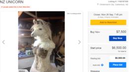 "Unicórnio" à venda no TradeMe