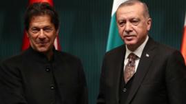 तुर्की कश्मीर पर पाकिस्तान के साथ क्यों है?
