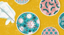 7 avances científicos que se han logrado gracias a los (enormes) esfuerzos de investigación provocados por el coronavirus