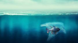 Ilustração mostra peixe no mar envolto por sacola de plástico