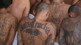 Detienen a cientos de miembros de la pandilla MS13 en Nueva York y El Salvador en uno de los mayores golpes al grupo
