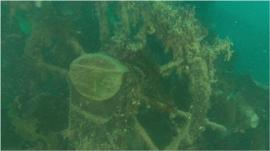 Wreck of HMS Terror