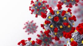 El punto débil del coronavirus que encontró una científica mexicana (y cómo puede servir para neutralizarlo)