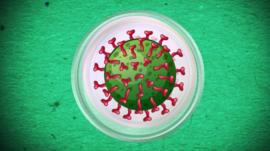 Illustration of a cold virus