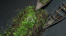 boats resting against floating farm