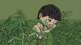 La impactante historia de un niño indigente de Vietnam que se convirtió en esclavo en una granja de marihuana en Reino Unido
