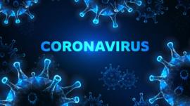 Qué son los coronavirus, cuántos hay y qué efectos tienen sobre los humanos