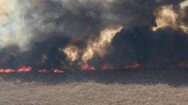 ¿Qué pasó con los incendios que arrasaban las selvas en Brasil, Bolivia y Paraguay?