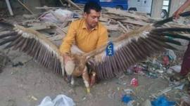 O abutre capturado por milícia na guerra do Iêmen acusado de ser espião