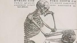 Grabado de Andreas Versalius de un esqueleto