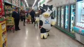 The dancing cow routines have gone viral online