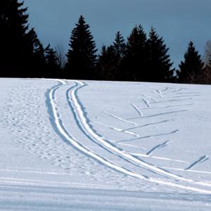 Tracks through the snow
